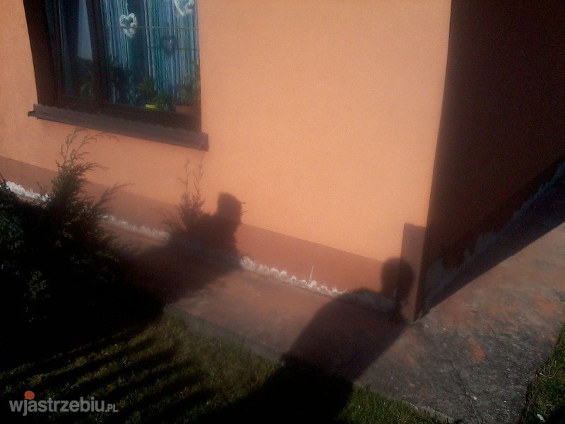 5881_izolowanie_osuszanie_odgrzybianie_fundamentow_scian_piwnic_slaskmalopolska_3