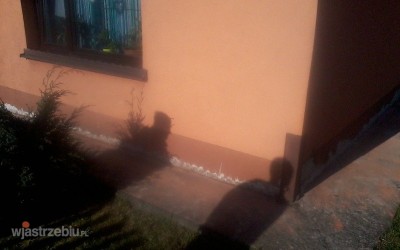 5917_izolowanie_osuszanie_odgrzybianie_fundamentow_scian_piwnic_slaskmalopolska_3