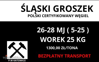 5956_wegiel_groszek_groszek_26_mj_wegiel_groszek_5-25_mm_1