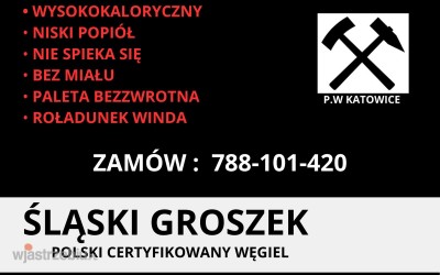 5956_wegiel_groszek_groszek_26_mj_wegiel_groszek_5-25_mm_2