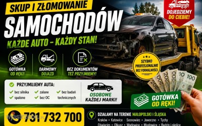 6035_zlomowanie_samochodow